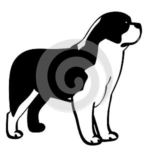 Saint bernard dog vector eps Hand drawn, Vector, Eps, Logo, Icon, silhouette Illustration by crafteroks for different uses.