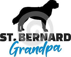 Saint Bernard Grandpa with silhouette