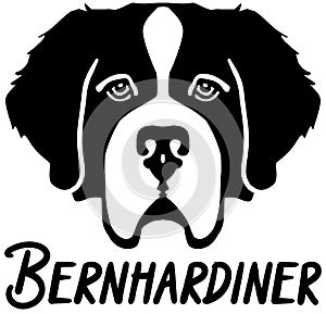 Saint Bernard head german name