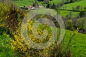 Saint bonnet le coutreau,forez,loire,france