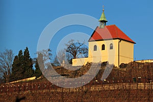 Saint Claire vineyard in Prague