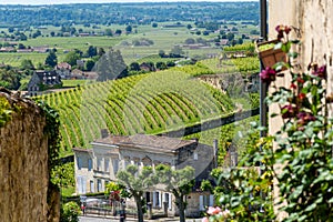 Saint Emilion, in Gironde, France: vineyards and medieval village