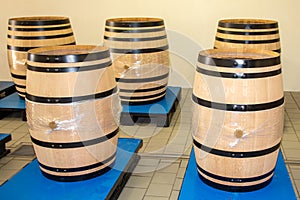 Saint emilion oak empty barrels in harvest Bordeaux wine cellar