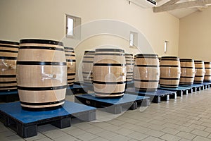 Saint-emilion oak wooden barrels in harvest Bordeaux wine cellar