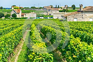 Saint Emilion village, Bordeaux, France