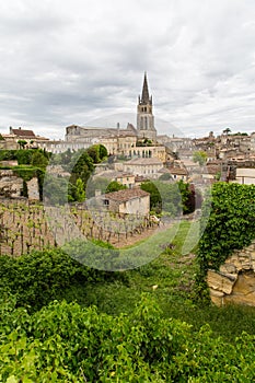Saint-Emilion village and vineyard