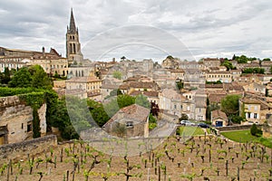 Saint-Emilion village and vineyard