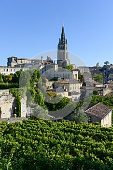 Saint-Emilion-Vineyard landscape-France