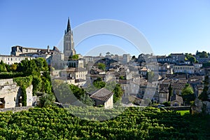 Saint-Emilion-Vineyard landscape-France,