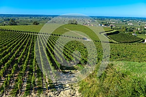 Saint-Emilion-Vineyard landscape-France