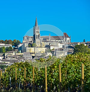 Saint-Emilion-Vineyard landscape-France