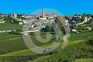 Saint-Emilion-Vineyard landscape-France