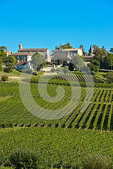 Saint-Emilion-Vineyard landscape-France