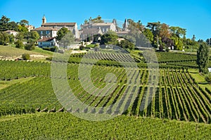 Saint-Emilion-Vineyard landscape-France