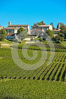 Saint-Emilion-Vineyard landscape-France