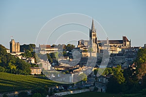 Saint-Emilion-Vineyard landscape-Vineyard south west of France,