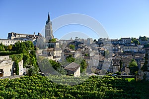 Saint-Emilion-Vineyard landscape-Vineyard south west of France,