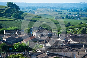 Saint-Emilion-Vineyard landscape-Vineyard south west of France,