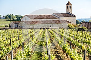 Saint Emilion vineyards in France