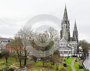 Saint Fin Barre's Cathedral