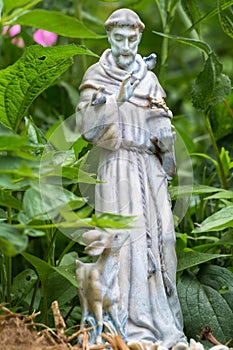 Saint Francis of Assisi photo