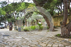 Saint George castle gardens, Lisbon, Portugal photo