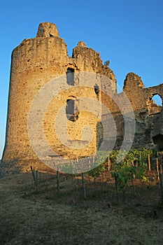 Saint-Germain-de-Confelons, Chateau