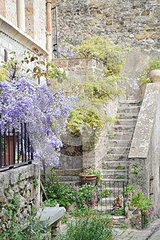 Saint-Guilhem-le-DÃÂ©sert, France. Floral facade of a house in the medieval old town. Charming, landmark. photo