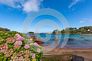 Saint Guirec bay beach. Pink granite coast, Perros Guirec, Brittany, France.