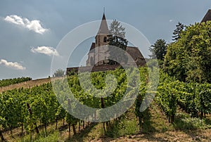 Saint-Jacques-le-Majeur church in Hunawihr, Alsace, France