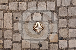 Saint james shell symbol