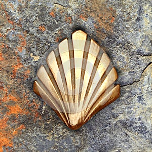 Saint James way shell golden metal on streets photo