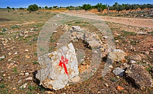 Saint James Way Templarios sign Spain