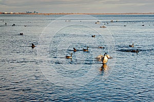 Saint-Lawrence river, Lachine Rapids in LaSalle