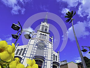 Saint-Louis Cathedral in Fort-de-France, Martinique. photo