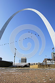 Saint Louis Gateway Arch Birds