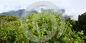 Saint Lucia from Petit Piton