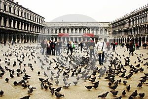 Saint Marks Square Venice