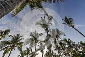 Saint Martin Beach