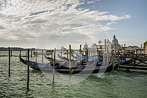 Saint Mary of Health church at Punta della Dogana and gondolas i