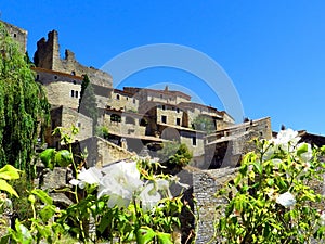 Medieval village of Saint-Montan with white flowers, South of France photo