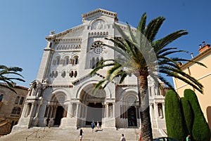 Saint Nicholas Cathedral, Monaco, palm tree, arecales, historic site, tourist attraction photo