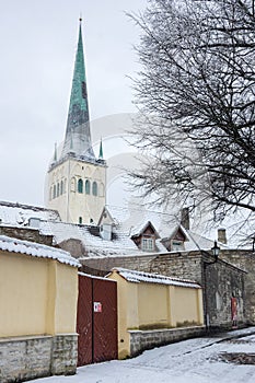 Saint Olaf church in Old Town of Tallinn