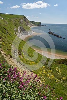 Saint Oswalds Bay near Lulworth Cove