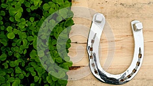 Saint Patrick background.Shiny silver horseshoe on a wooden board in green clover.St.Patrick 's Day.Irish traditional