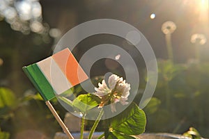 Saint Patrick background. St.Patrick 's Day. Ireland flag and clover flowers in sunbeams. Irish traditional holiday.
