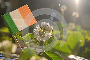 Saint Patrick background. St.Patrick 's Day. Ireland flag and clover flowers in sunbeams. Irish traditional spring