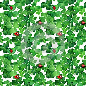 Saint Patrick day background. Watercolor drawn clover leaves and ladybugs in seamless pattern. Botany wallpaper