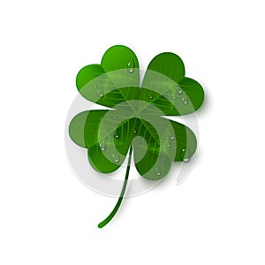 Saint Patrick`s Day four leaf clover with dew