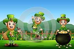 Saint Patricks Day Leprechaun celebrate on the beautiful nature